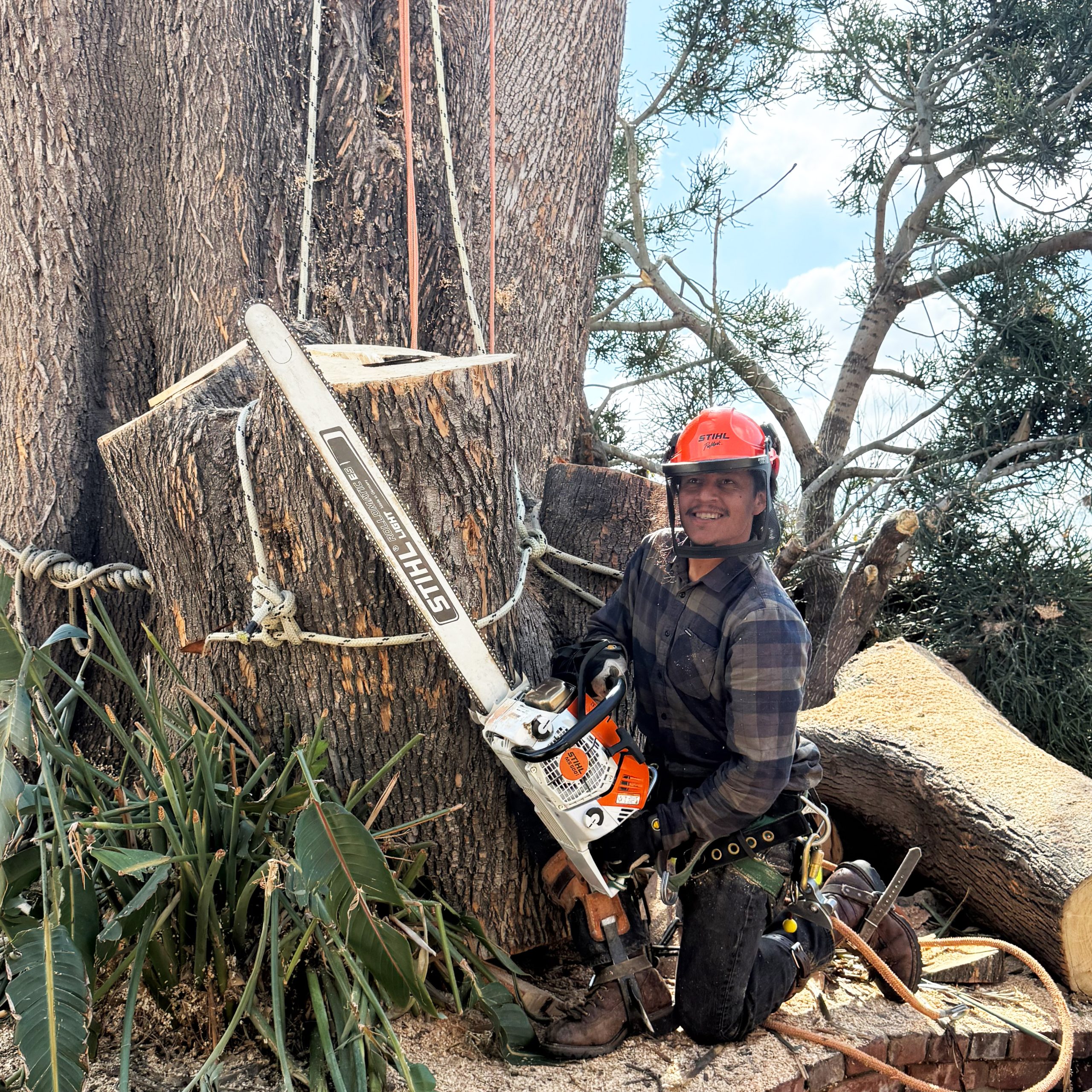 Lumber Jeff in tree service gear with a STIHL chainsaw